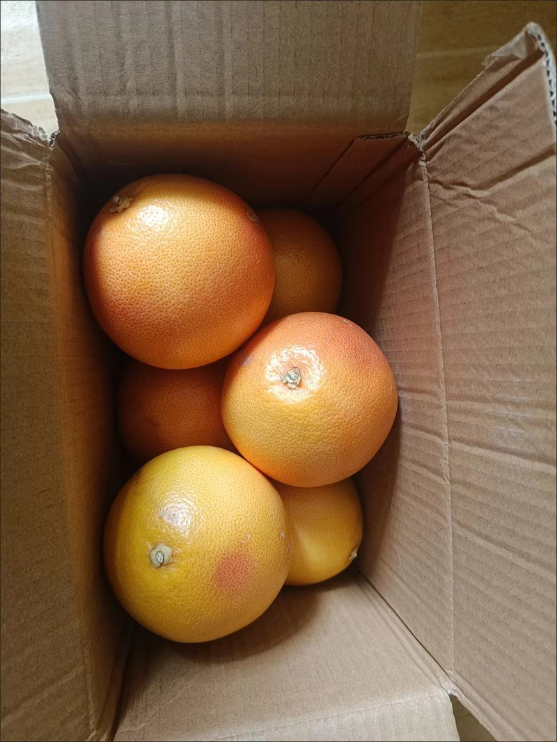 农家自产 南非西柚当季新鲜水果酸甜爽口饱满产地基地直发整箱