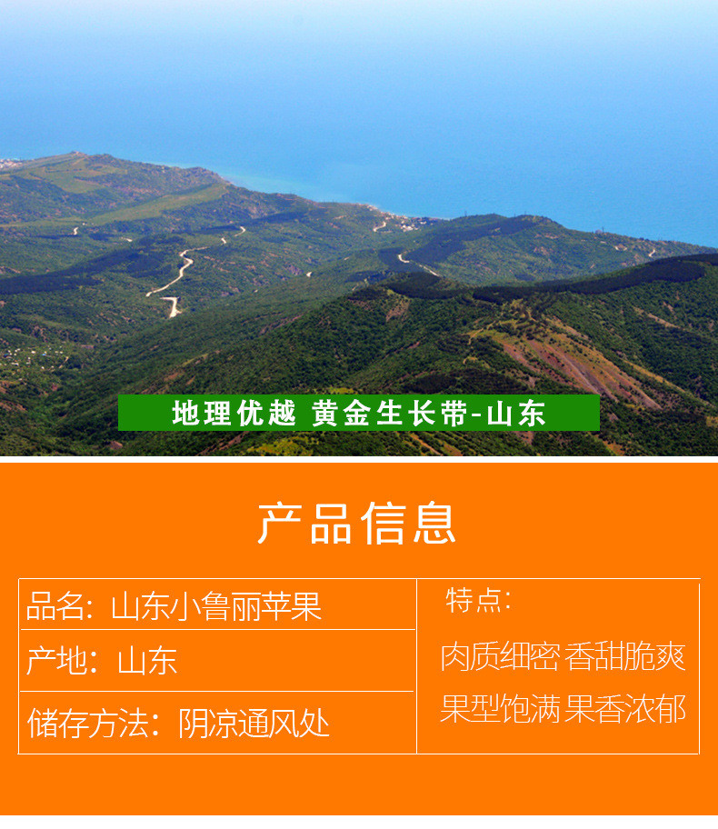 农家自产 山东小鲁丽苹果3斤脆甜多汁糖心小苹果新鲜水果健康酸甜可口