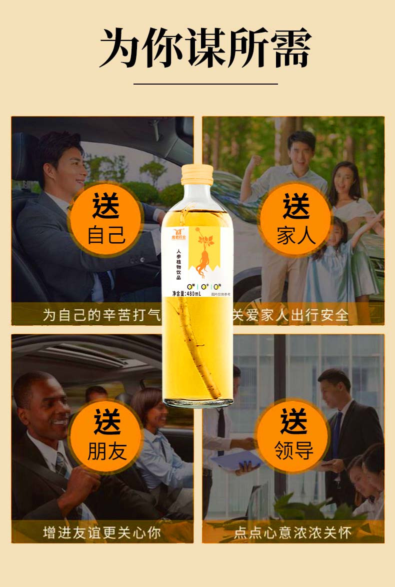 鹰君 整根人参饮料480ml/瓶人参饮品功能饮料休闲健康网红产品