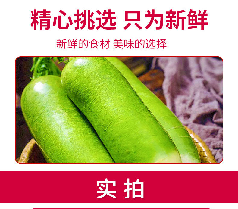 农家自产 寿光冰淇淋萝卜3斤新鲜脆甜生吃水萝卜应季蔬菜产地直发