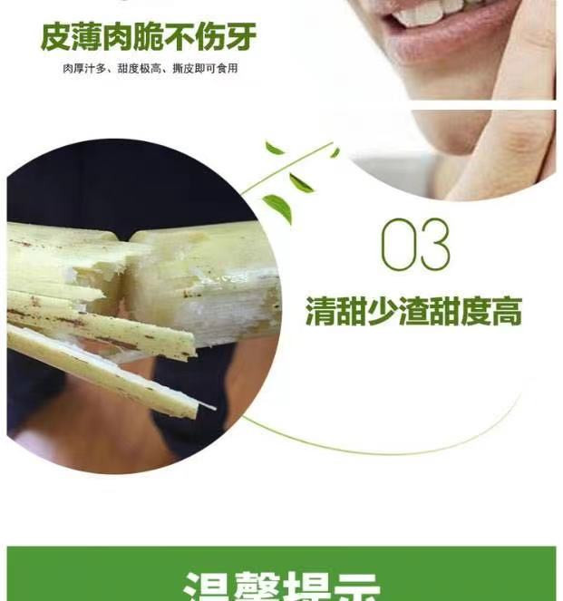 农家自产 广西木格白玉蔗皮薄肉厚松脆9斤