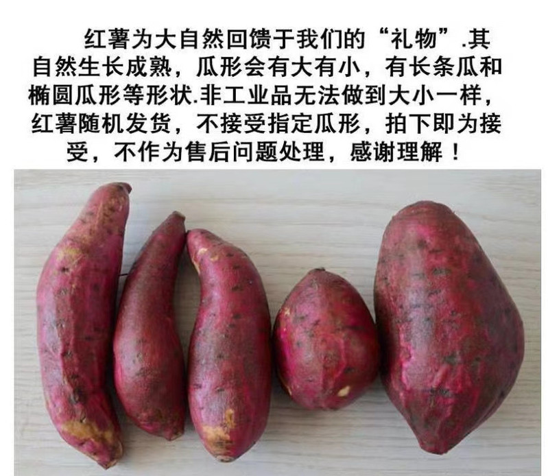 农家自产 新鲜西瓜红红薯