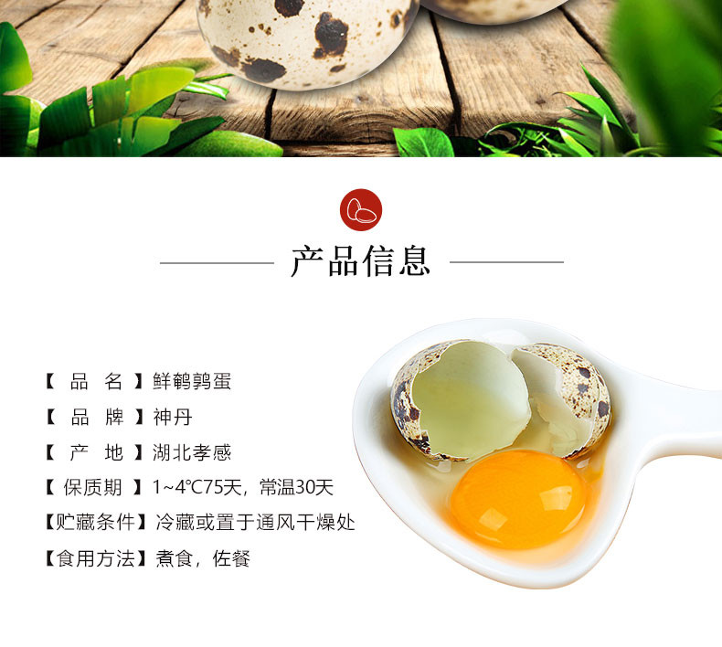 神丹 正品鹌鹑鲜蛋 50枚（均重约7g/枚）