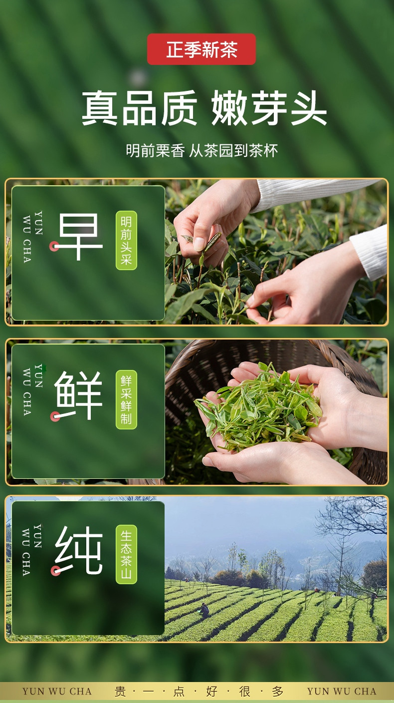 别茶访 一级明前英山云雾茶80g*2盒