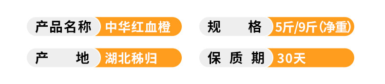 四时秋 宜昌中华红血橙5斤装大果 现摘现发香甜多汁