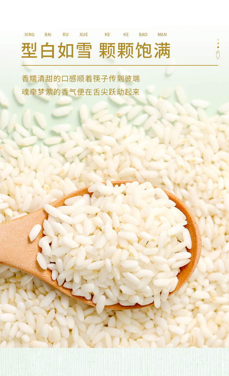 伍食家 新疆大米和田白玉羊脂籽米