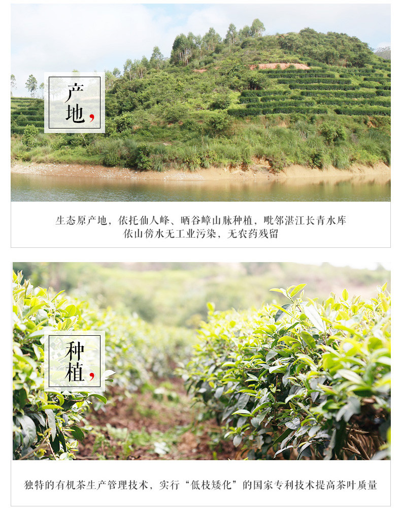 茗皇 乌龙茶200克