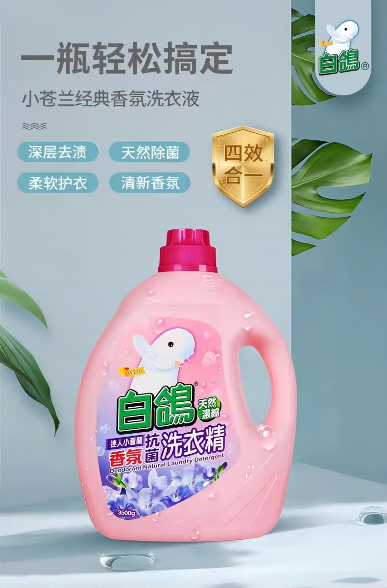 白鸽 台湾进口浓缩型洗衣液3.5kg不含荧光剂 香氛无磷配方强效去污