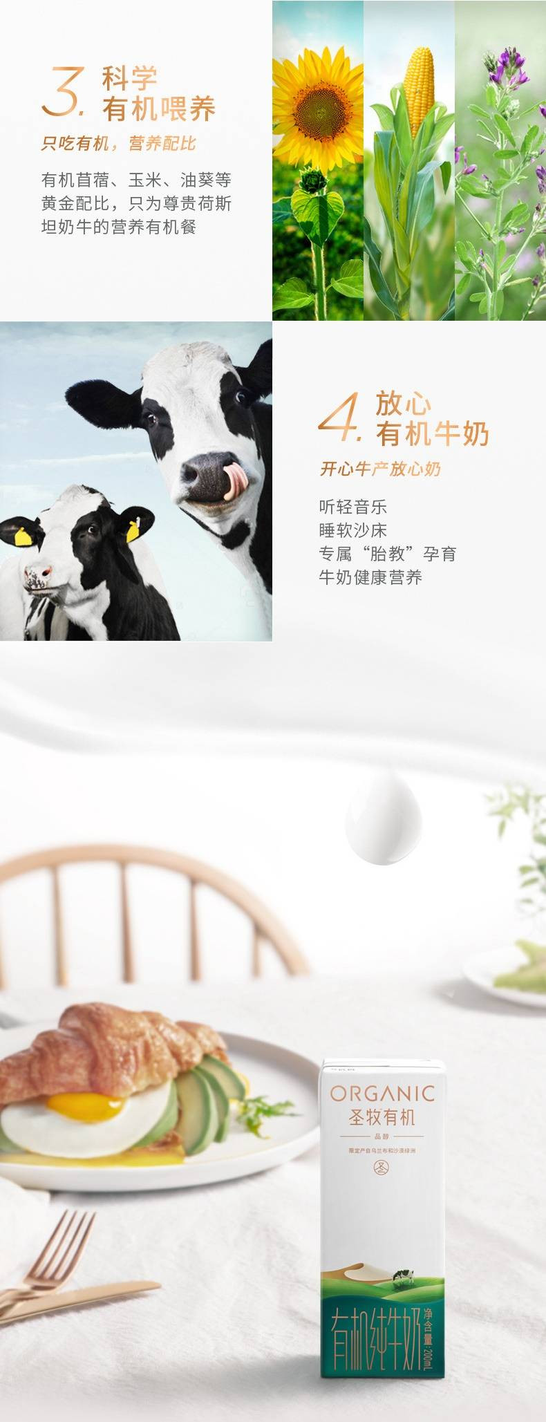 圣牧 有机纯牛奶品醇200ml*12包高端礼盒装【1月产】