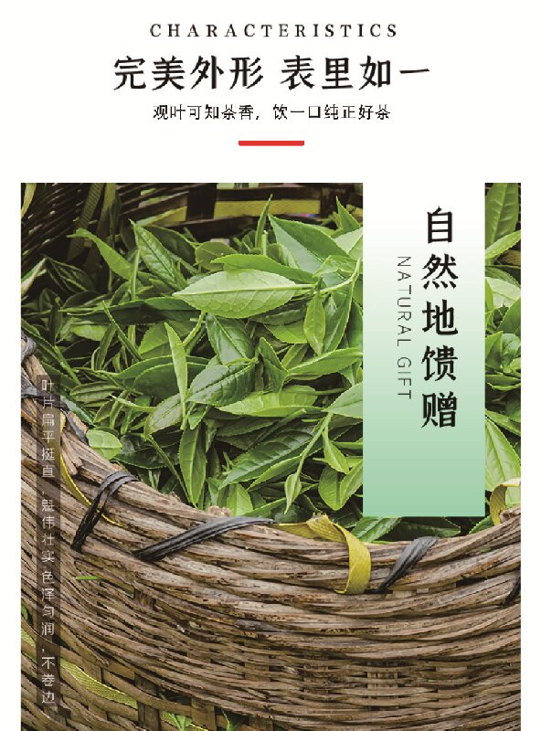 白竹山 云南双柏白竹山云雾茶一级200克（袋装）