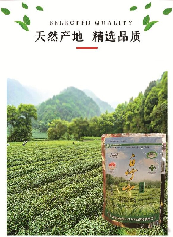 白竹山 云南双柏白竹山云雾茶一级200克（袋装）