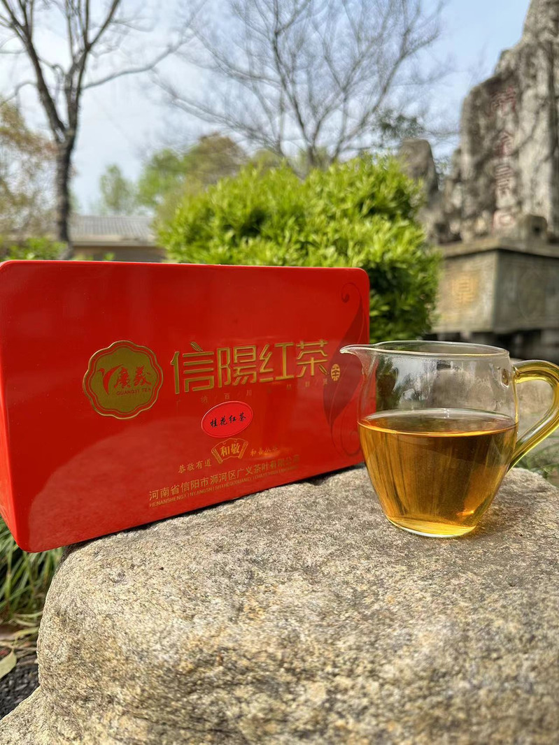 广义 信阳大师二号桂花红茶（150g*3）