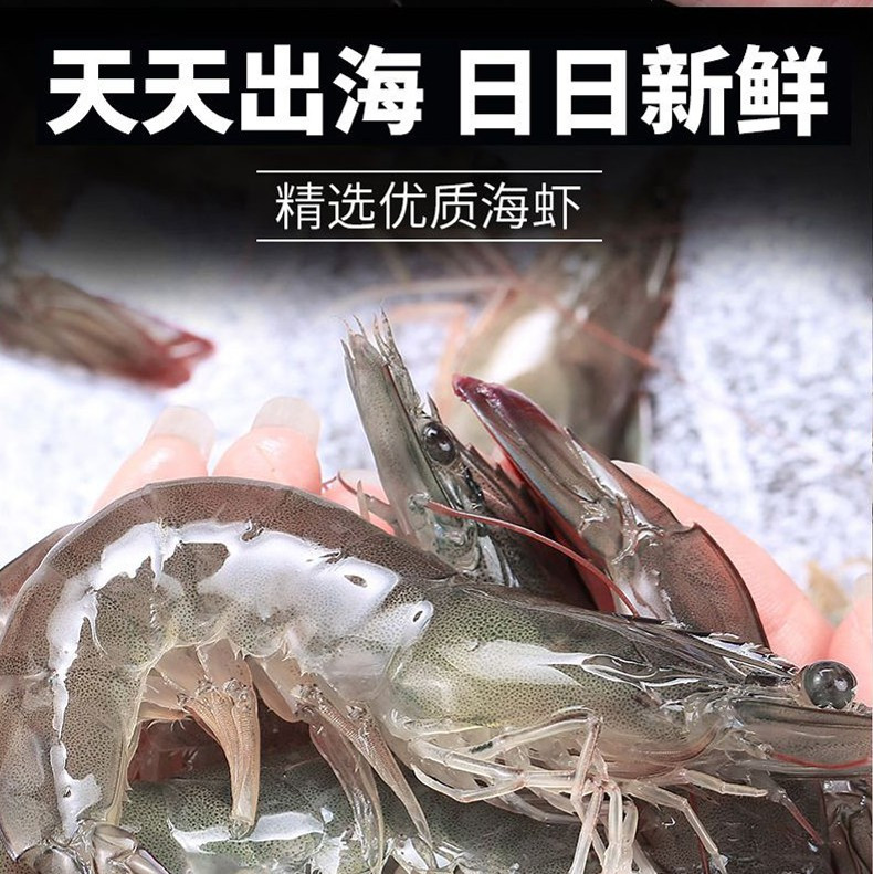  新鲜盐冻大虾对虾 青虾海捕大虾冷冻生鲜虾类  邮兔