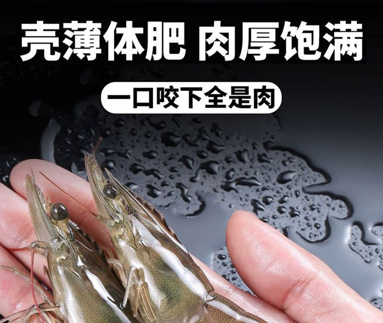  新鲜盐冻大虾对虾 青虾海捕大虾冷冻生鲜虾类  邮兔