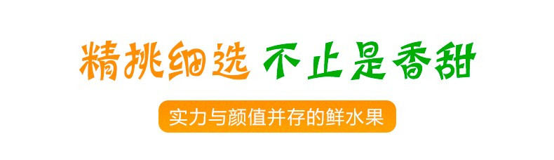  【券后26.9元起】树上熟石林人参果新鲜水果5斤装  邮兔