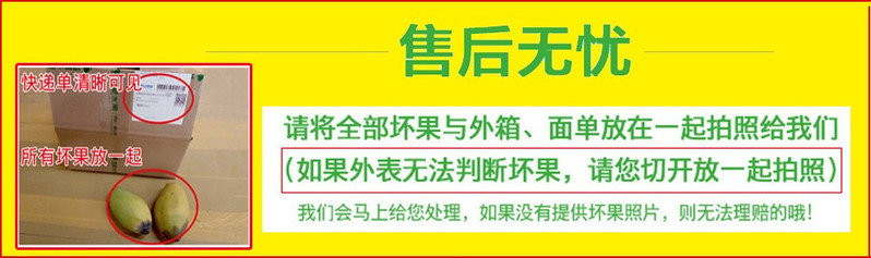  【券后26.9元起】树上熟石林人参果新鲜水果5斤装  邮兔