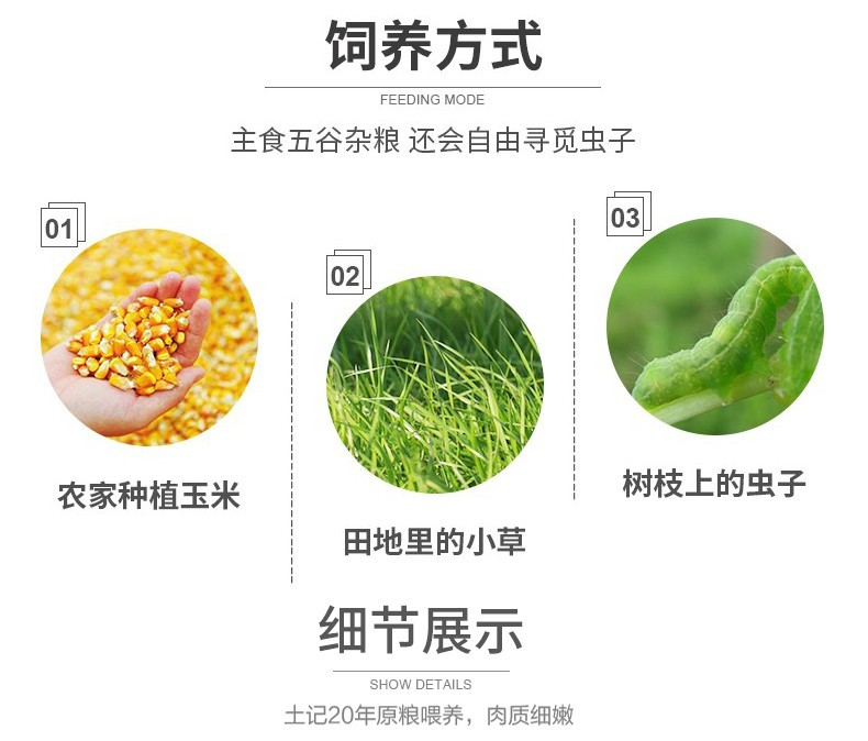  年货节【两只券后99】 农家散养土公鸡整鸡土公鸡跑山走地鸡 我老家