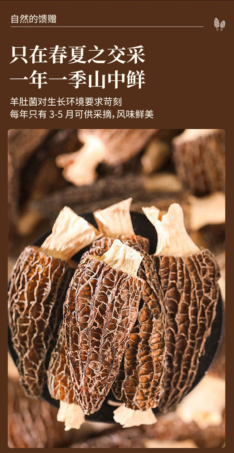  活动价【券后39.9元】 九养芝 羊肚菌干货山珍菌菇煲汤炖汤火锅食材