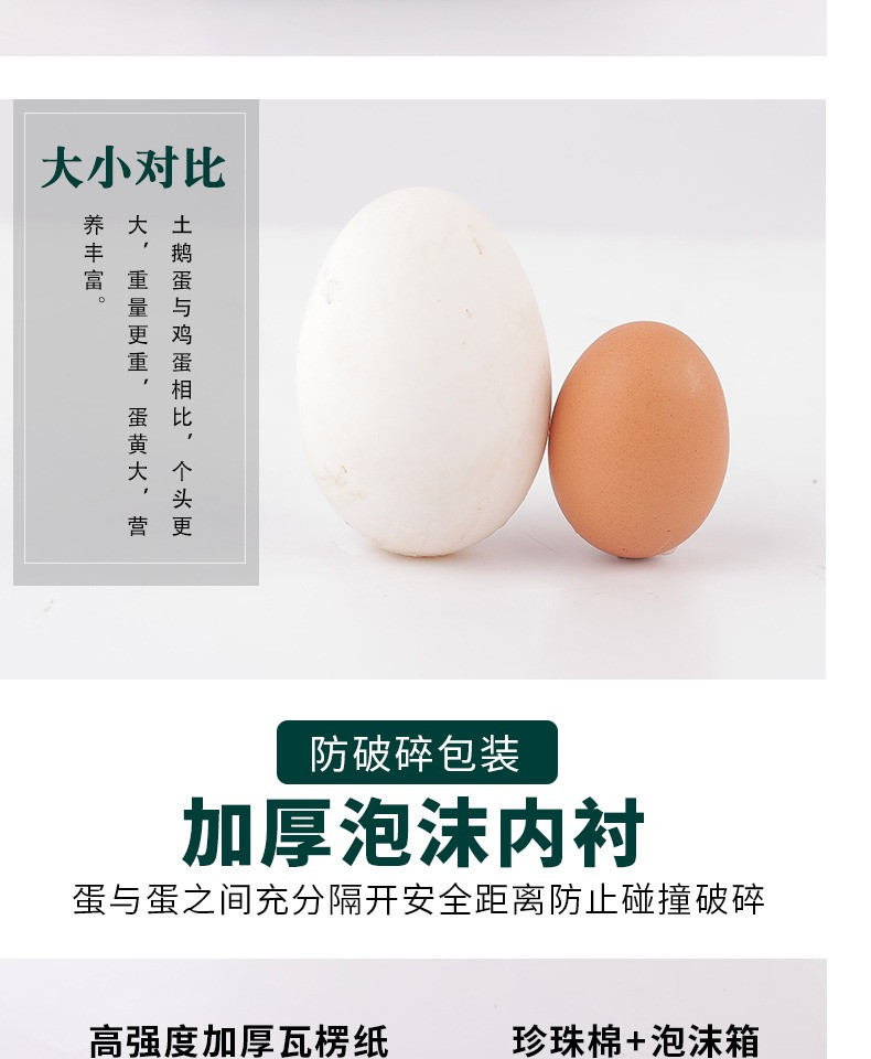  真鹅蛋【6枚券后36.8元】 农家散养新鲜鹅蛋大规格 缘琳山