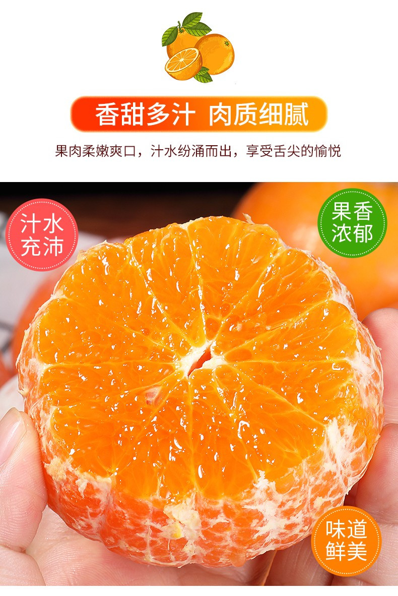  【领劵立减】 邮兔 广西茂谷柑当季桔子脏脏柑橘石灰柑新鲜水果