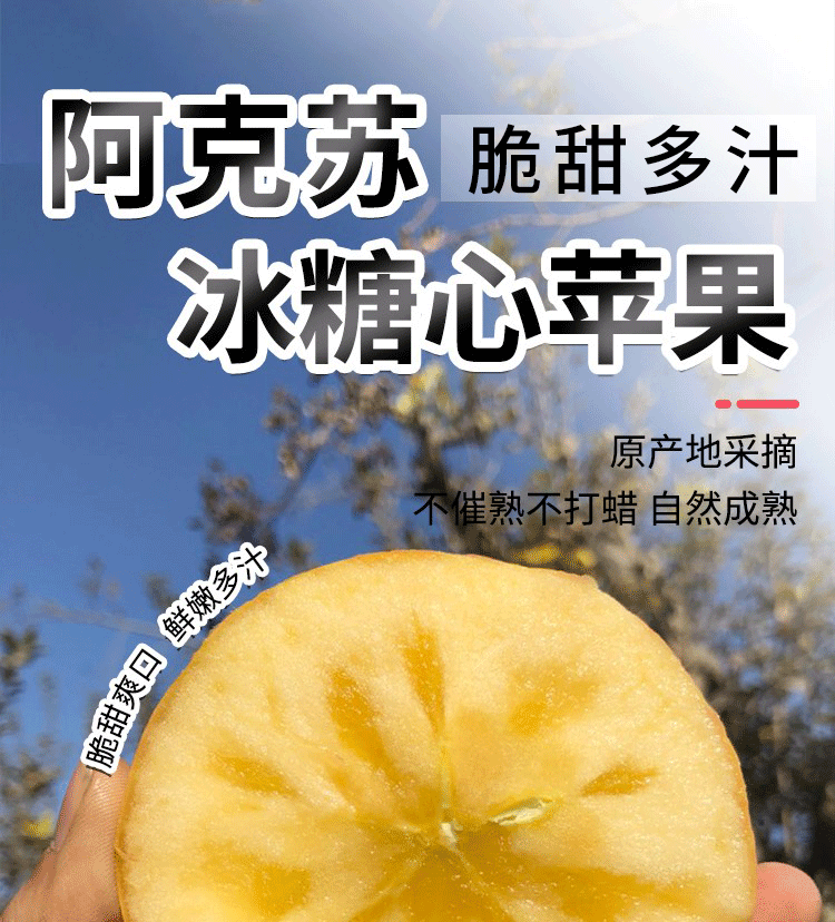  【领劵立减】 新疆阿克苏冰糖心苹果 邮兔