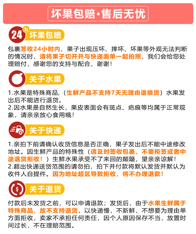  爆款【券后19.9一箱】 邮乡甜 四川会理突尼斯软籽石榴