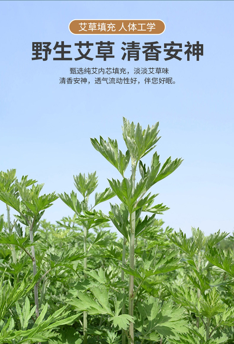  粉色限量【劵后29.9元】 艾远堂 加热艾草骨头枕头颈椎护颈艾草枕