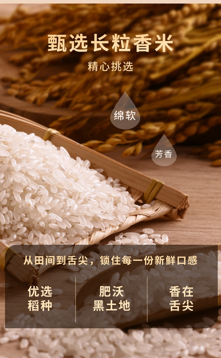  东北大米长粒香米稻花香米农家米2023年新米5kg香米东北米 灼颜