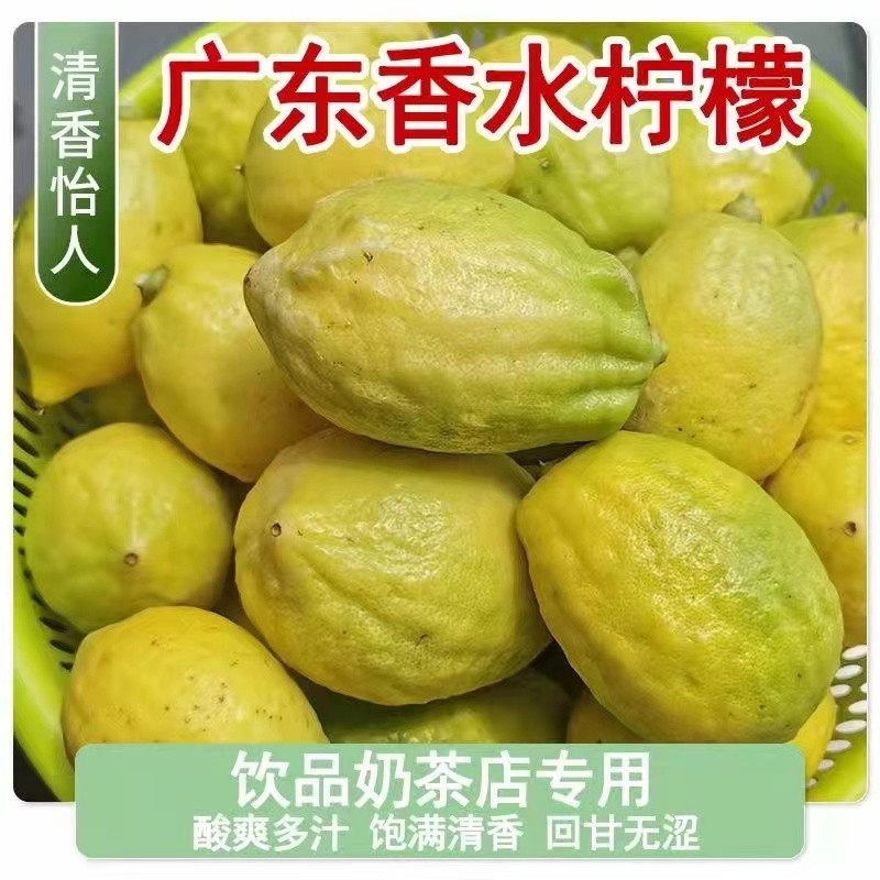 九连丰 广东香水柠檬新鲜皮薄多汁无籽 2.5KG箱 大果