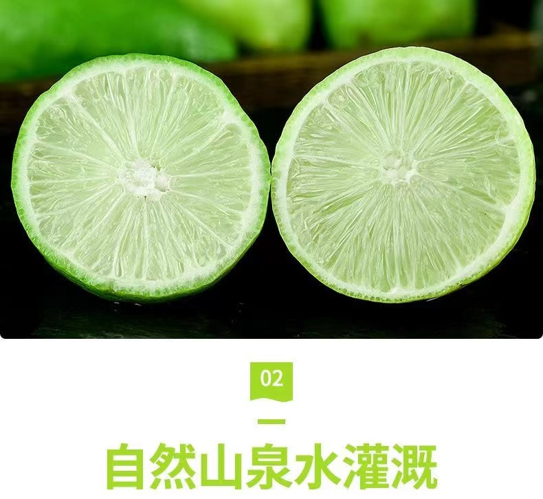 九连丰 海南香水柠檬10斤新鲜现摘当季奶茶店专用广东青柠檬整箱包邮