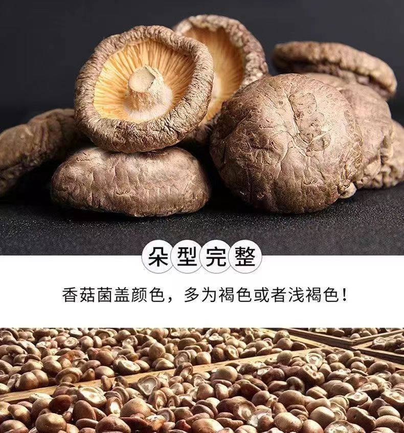 九连丰 广东土特产当季新货香菇干货60g菌类