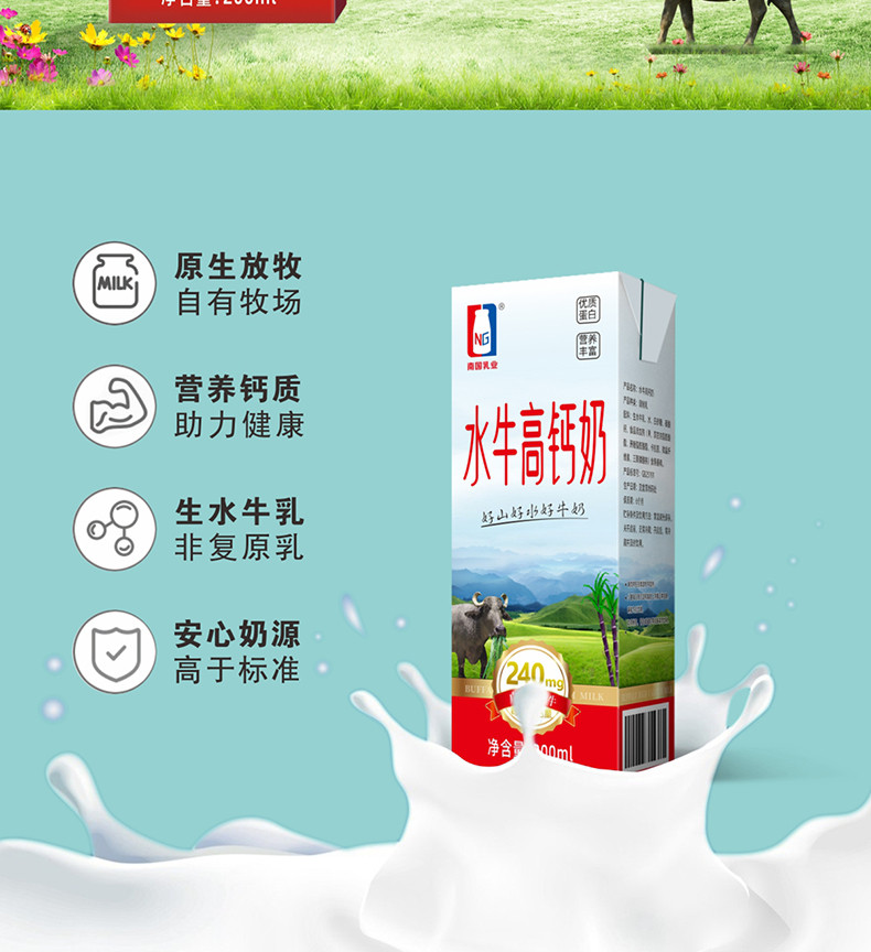 水牛生南国 南国水牛高钙奶200g*10盒 营养早餐奶