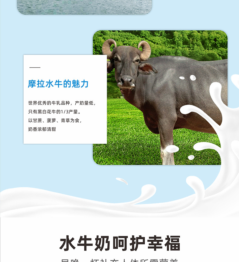 水牛生南国 纯牛奶200ml*10盒*4箱 家庭装 4.0g蛋白质牛奶