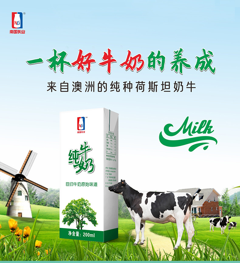 水牛生南国 南国乳业纯牛奶200g*20盒 生牛乳早餐牛奶