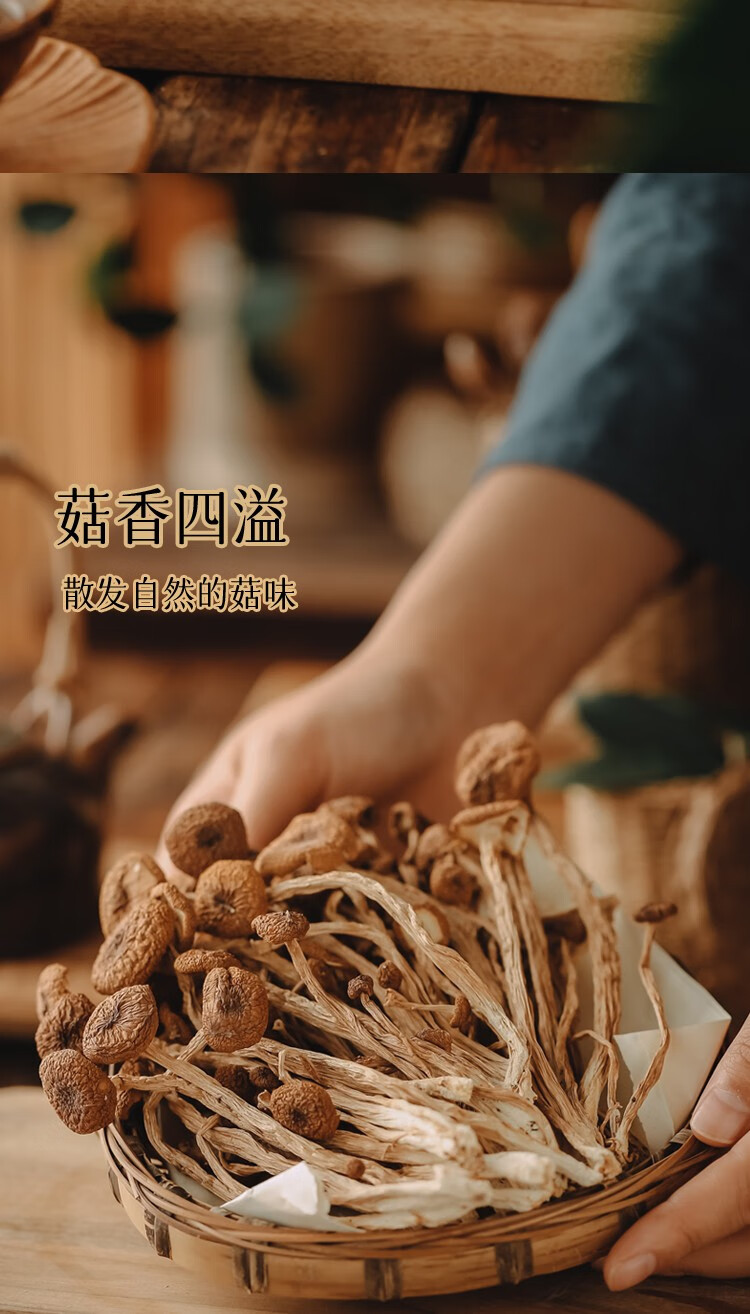 永福元 茶树菇200g