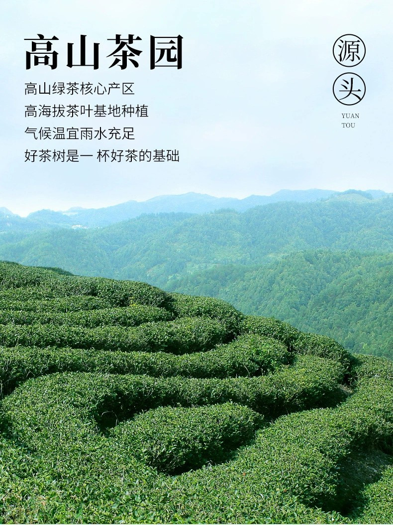 大份量40包新茶茉莉花茶叶绿茶浓香型罐装礼盒装送礼