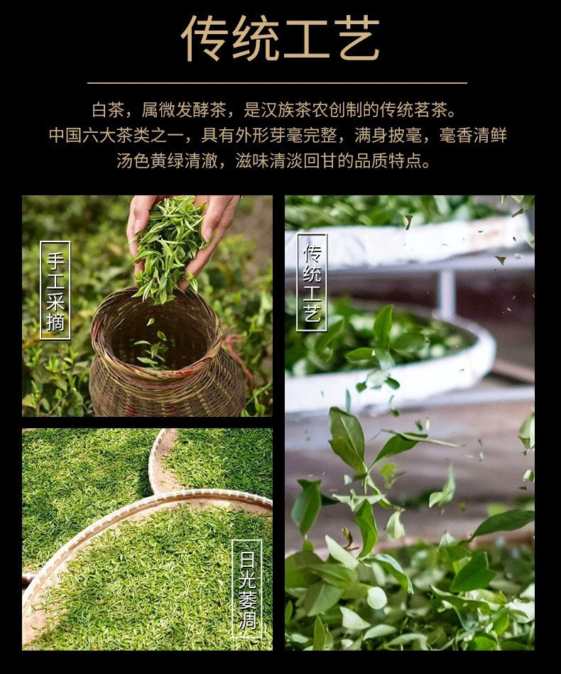 福鼎白茶花香白牡丹小方片茶饼高档茶叶礼盒装年货送礼伴手礼礼品