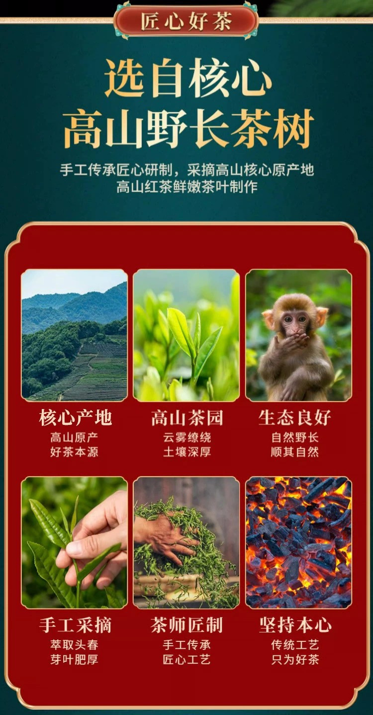 固根堂正山小种红茶普洱茶小青柑大红袍茶叶礼盒装送礼礼品伴手礼