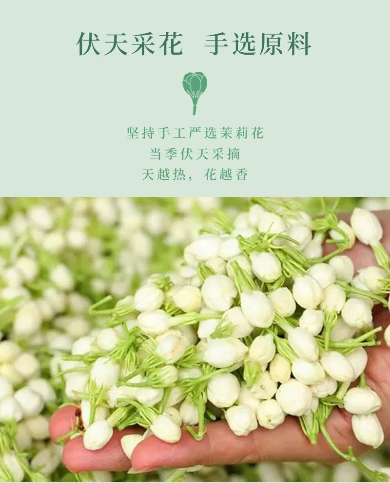 固根堂茉莉飘雪茉莉花茶绿茶花草茶组合茶2024新茶2罐装