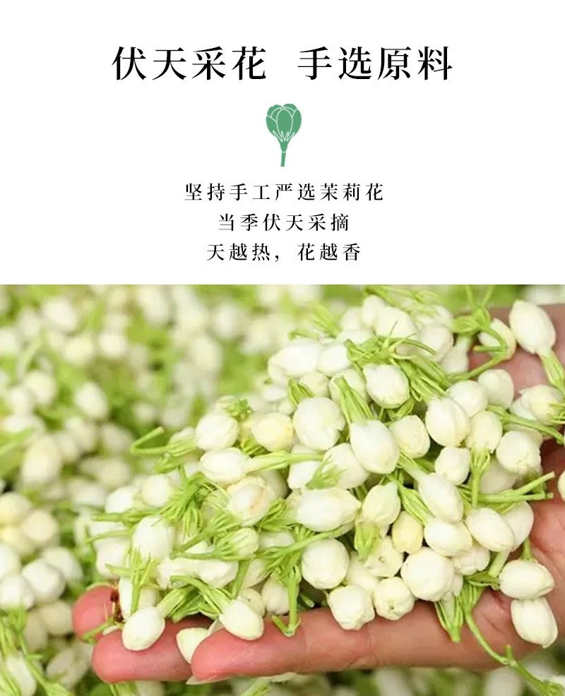 茉莉花茶罐装绿茶花茶组合大铁桶大份量1000g飘雪茶叶礼盒装