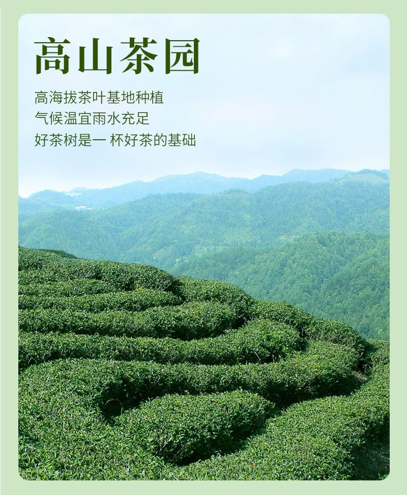 2024新茶茉莉花茶浓香型绿茶春茶高档茶叶礼盒装送人送礼花茶