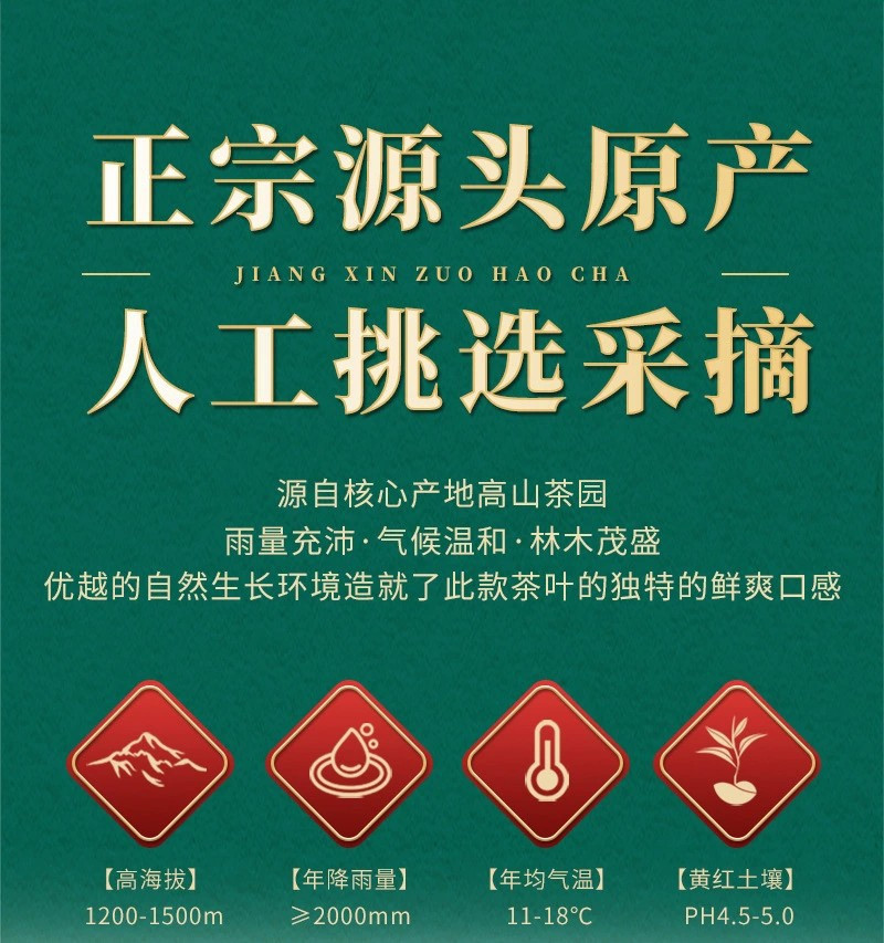 2024新茶春茶铁观音茶叶礼盒装送礼高档浓香型正宗安溪罐装茶