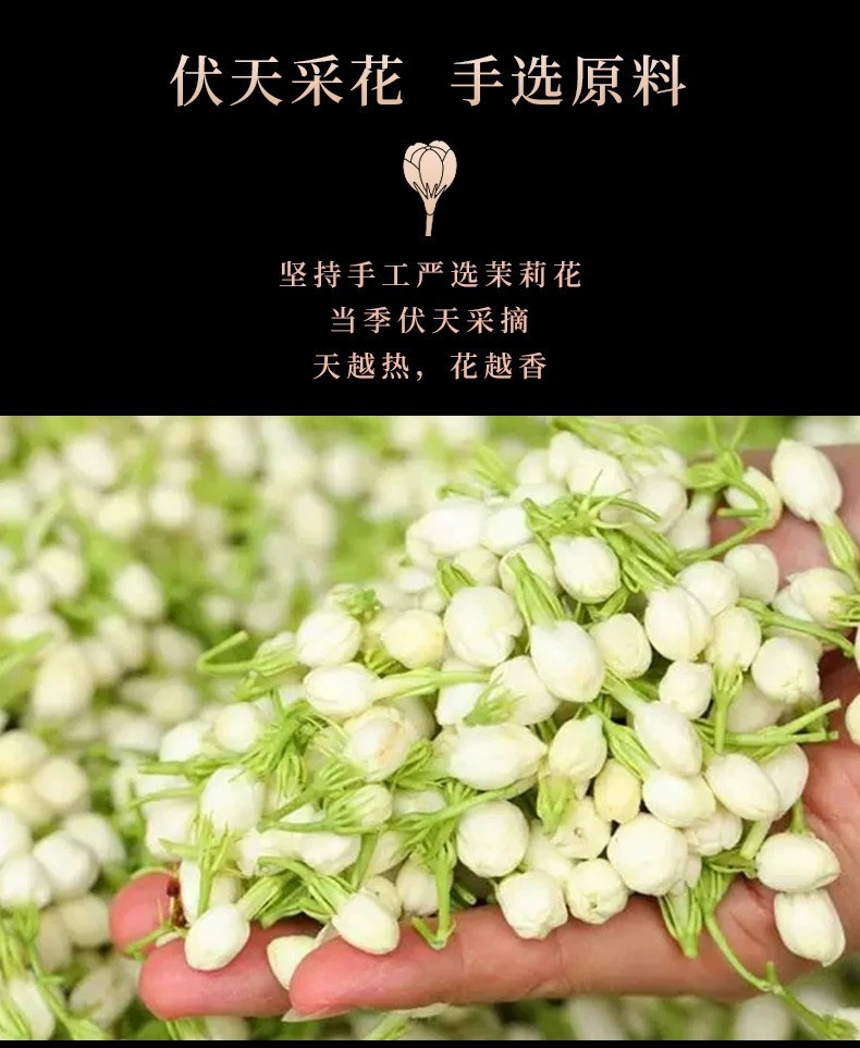 茉莉花茶绿茶春茶茶叶浓香型罐装礼盒年货送礼送礼袋