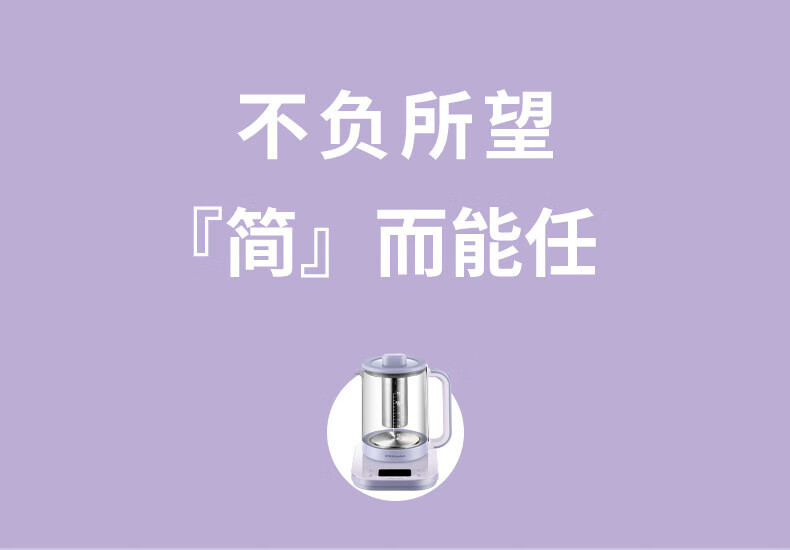 荣事达 养生壶 煮茶器 烧水壶 煮茶壶 316钢YSH8065