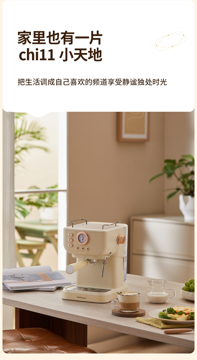 荣事达 小型家用咖啡机RS-CF900B