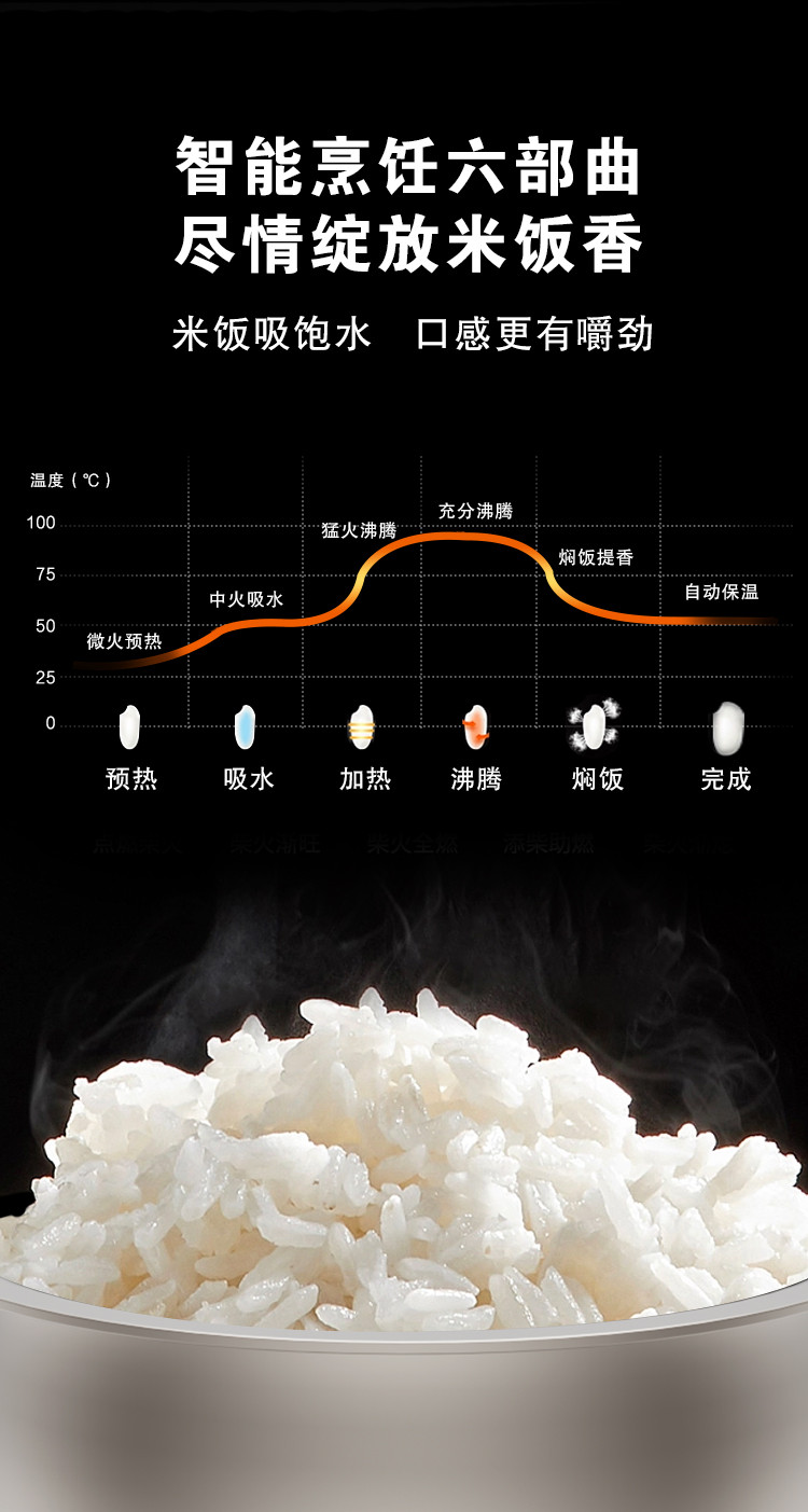 荣事达 钛内胆IH加热电饭煲