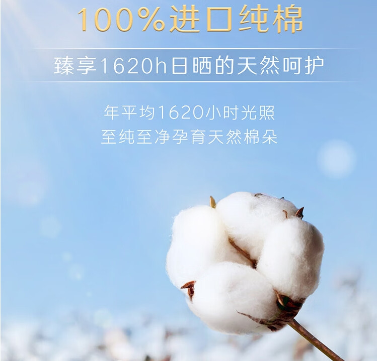 高洁丝 臻选系列极薄纯棉卫生巾日用240mm16片（新老包装随机发货