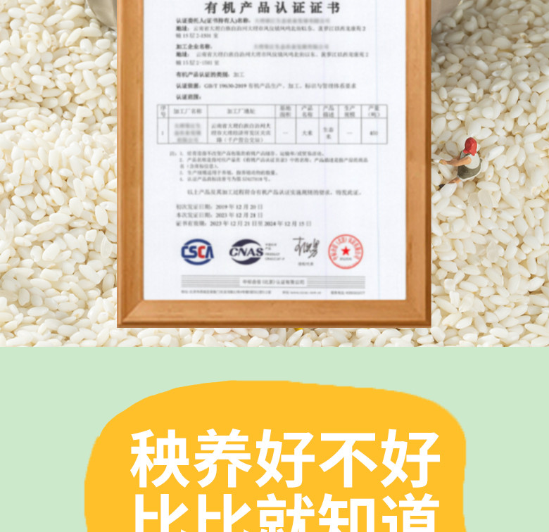 秧养 有机胚芽米礼品纸盒装1kg