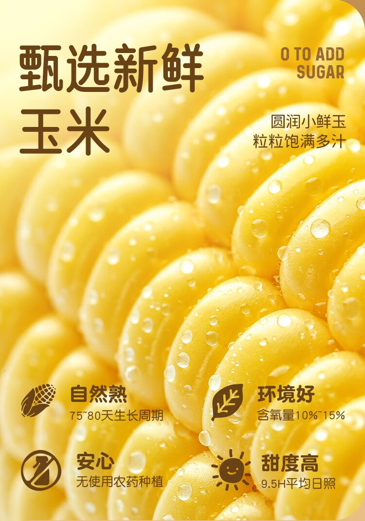 玉百味 鲜榨玉米汁谷物饮料0添加蔗糖粗粮营养早餐 200ml*12