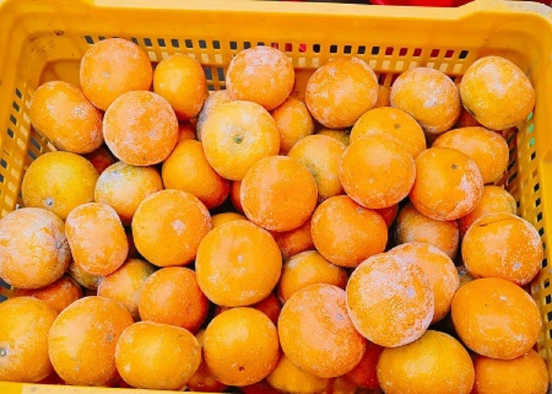 邮政农品 【贵港】广西茂谷柑新鲜果径65以上5斤装